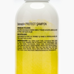 Șampon pentru protecția culorii părului Protect 200ml