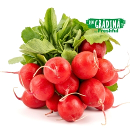 Ridichi mix ECO 1 legătură