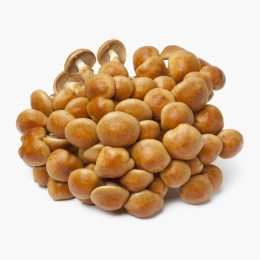 Ciuperci Nameko eco 150g