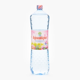 Apă minerală naturală plată 2l