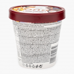 Înghețată duo de caramel sărat și ciocolată neagră 3420ml