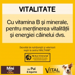 Hrană uscată pentru câini adulți de talie mică, 400g, cu pui și legume Vital Protection