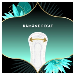 Absorbante zilnice Plus Waterlily, 84 buc