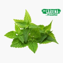 Urzici eco 350g, România (Bioferma Niculești)