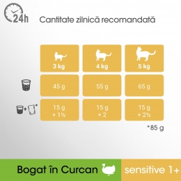 Hrană uscată pentru pisici sensibile adulte, 7kg, de curcan