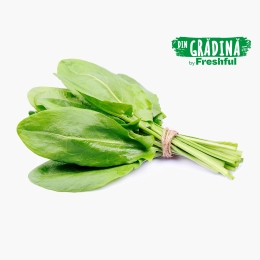 Măcriș eco 20g
