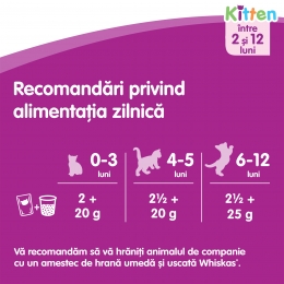 Hrană umedă pentru pisici junior, 85g, cu pui în aspic
