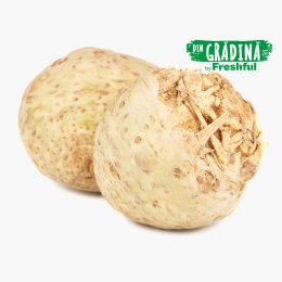Țelină rădăcină România, min 300g, Camen din Băleni