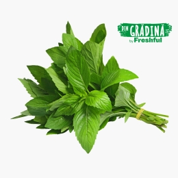 Mentă eco, România (Bioferma Niculești) 50g