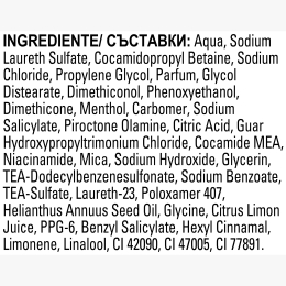 Șampon antimătreață Scalp Oil Control 360ml