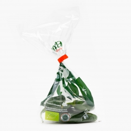 Ardei Jalapeno eco România 100g