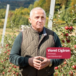 Pere România (Voinești), minim 700g
