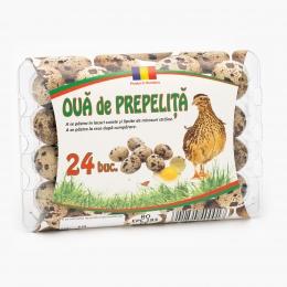 Ouă de prepeliță 24 buc