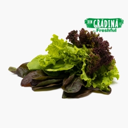 Mix frunze de salată eco, România (Bioferma Niculești)