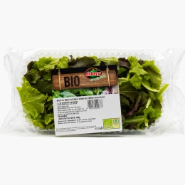 Salată baby batavia roșie și verde ecologică 100g