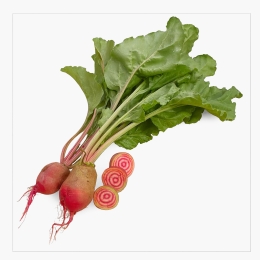 Sfeclă Chioggia cu frunze eco România 50