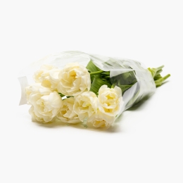 Buchet lalele albe, 10 fire