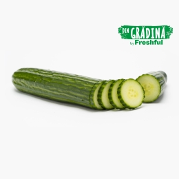 Castravete Fabio România 1 buc