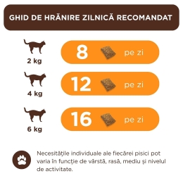 Recompense crocante pentru pisici adulte, pernuțe cu pui, 60g