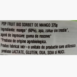 Sorbet de mango eco 375g