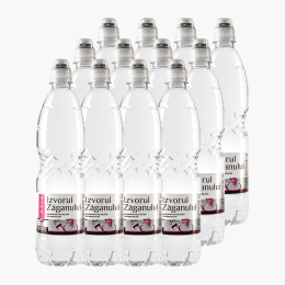 Apă minerală naturală plată 12x700ml