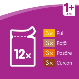 Hrană umedă pentru pisici adulte, 12x100g, cu carne de pasăre în aspic