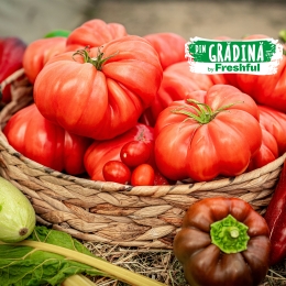 Roșie roz eco România 1 buc, minim 300g