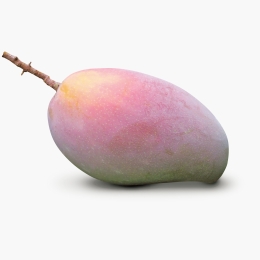 Mango Osteen eco 1buc