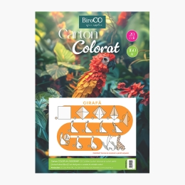 Carton multicolor BiroCO, A4, 20 coli