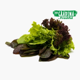 Mix frunze de salată eco