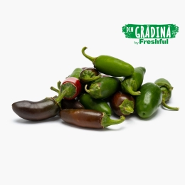 Ardei iute Jalapeno mix culori România 250g
