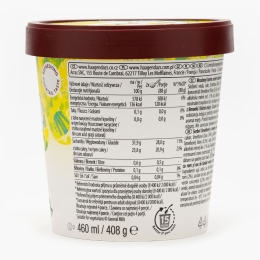 Înghețată cu șerbet de Mojito cu lime 400g
