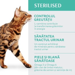 Hrană uscată pentru pisici sterilizate 700g, cu curcan și ovăz
