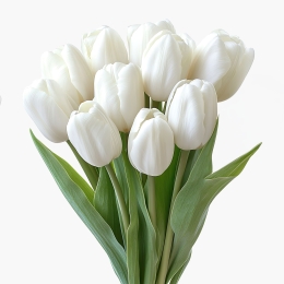 Buchet lalele albe, 10 fire