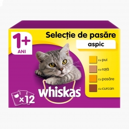 Hrană umedă pentru pisici adulte, 12x100g, cu carne de pasăre în aspic