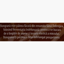 Bongrana sana pâine hipoglucidică 500g