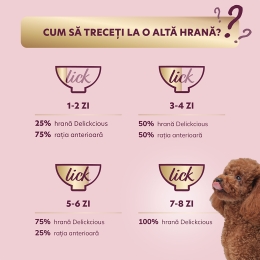 Hrană umedă pentru câini, cu somon și morcov în supă cremă, 85g