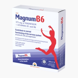 Magnum B6 20 plicuri