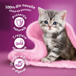 Hrană uscată pentru pisici junior, 14kg, cu pui 