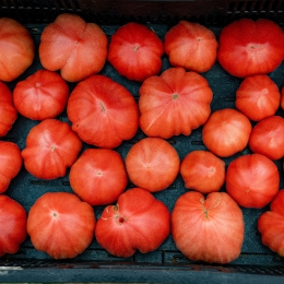 Roșii roz eco România 1.5kg