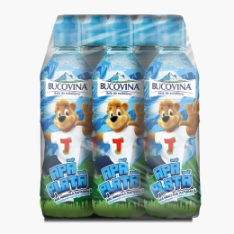 Apă minerală naturală plată 6x0.33l