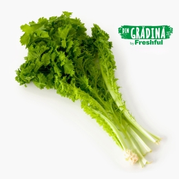 Salată Wasabi eco, România (Bioferma Niculești) 1 buc