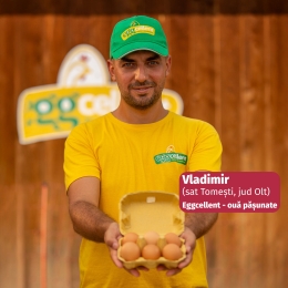 Ouă de la găini pășunate, marime M-L, 10 buc