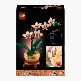 Mini orhidee, 10343 Botanicals, 274 piese, +18 ani