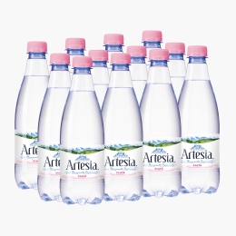 Apă minerală naturală plată 12x500ml