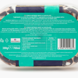 Înghețată cu aromă de mentă, ciocolată cu sos de cacao 380g