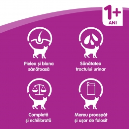 Hrană umedă pentru pisici adulte, 100g, cu vită în sos de carne 