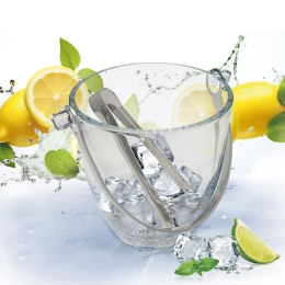 Frapieră sticlă cu clește inox 800ml