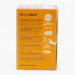 Ceai eco asortiment „Îngerașii ștrengari” 20 plicuri