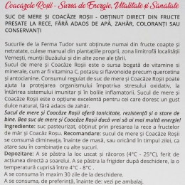 Suc de mere și coacăze roșii, bag in box 2l